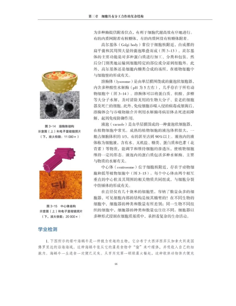 新沪科版高中生物必修1《分子与细胞》_电子课本_最新版高中全科高清电子课本_6高中生物课本_2019新人教版