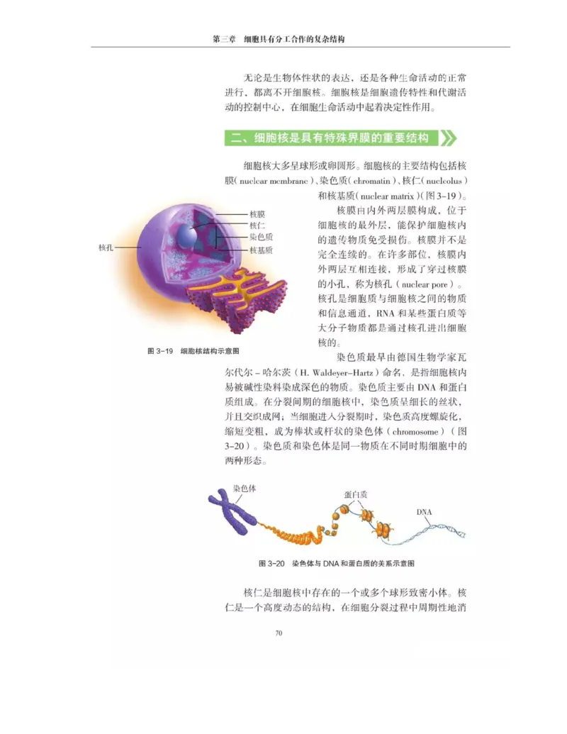 新沪科版高中生物必修1《分子与细胞》_电子课本_最新版高中全科高清电子课本_6高中生物课本_2019新人教版