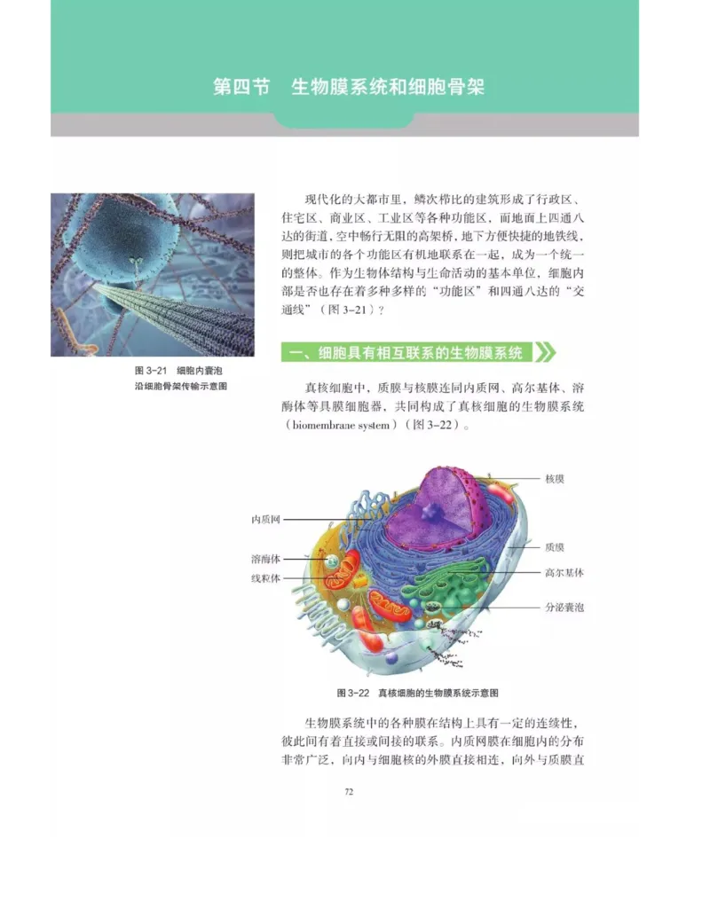 新沪科版高中生物必修1《分子与细胞》_电子课本_最新版高中全科高清电子课本_6高中生物课本_2019新人教版