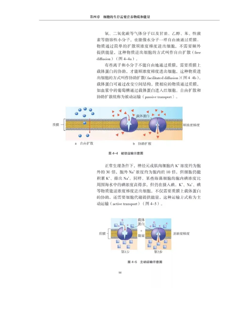 新沪科版高中生物必修1《分子与细胞》_电子课本_最新版高中全科高清电子课本_6高中生物课本_2019新人教版