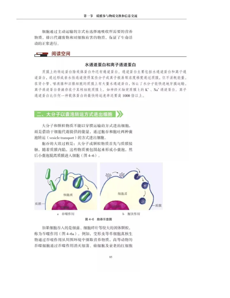 新沪科版高中生物必修1《分子与细胞》_电子课本_最新版高中全科高清电子课本_6高中生物课本_2019新人教版