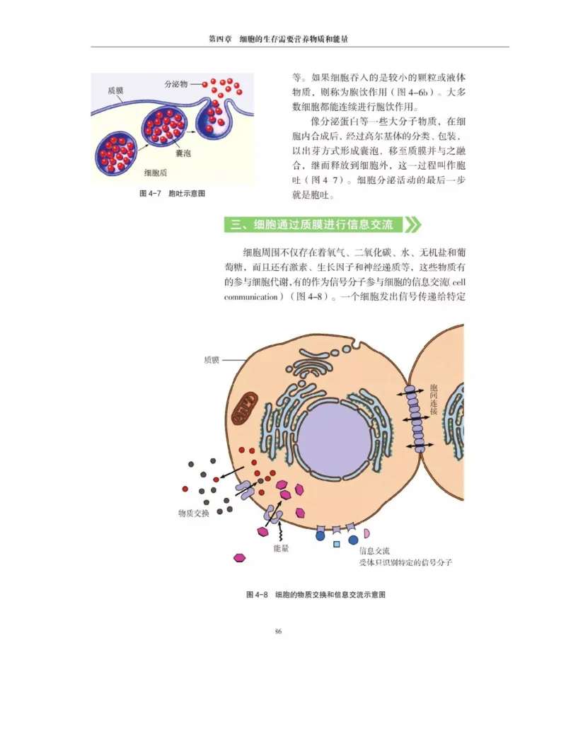 新沪科版高中生物必修1《分子与细胞》_电子课本_最新版高中全科高清电子课本_6高中生物课本_2019新人教版