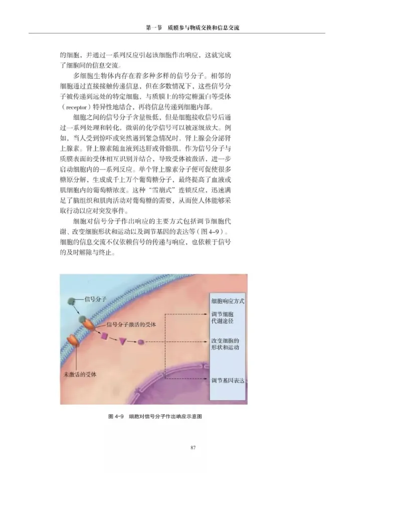 新沪科版高中生物必修1《分子与细胞》_电子课本_最新版高中全科高清电子课本_6高中生物课本_2019新人教版