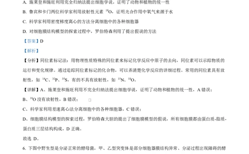 湖南省郴州市2024&mdash;2025学年高一上学期期末考试生物试题Word版含解析_2025年03月试卷_0316湖南省郴州市2024-2025学年高一上学期期末考试