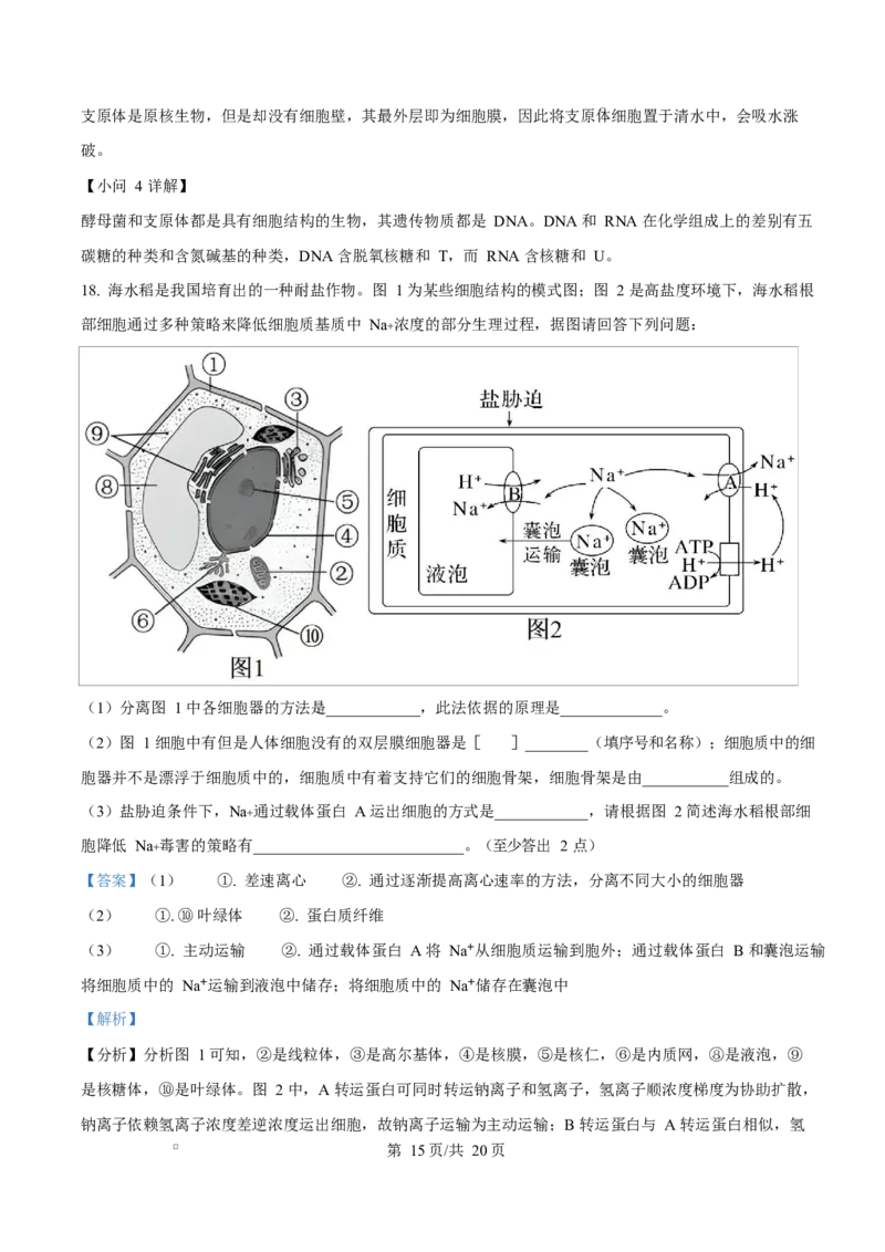 湖南省郴州市2024&mdash;2025学年高一上学期期末考试生物试题Word版含解析_2025年03月试卷_0316湖南省郴州市2024-2025学年高一上学期期末考试