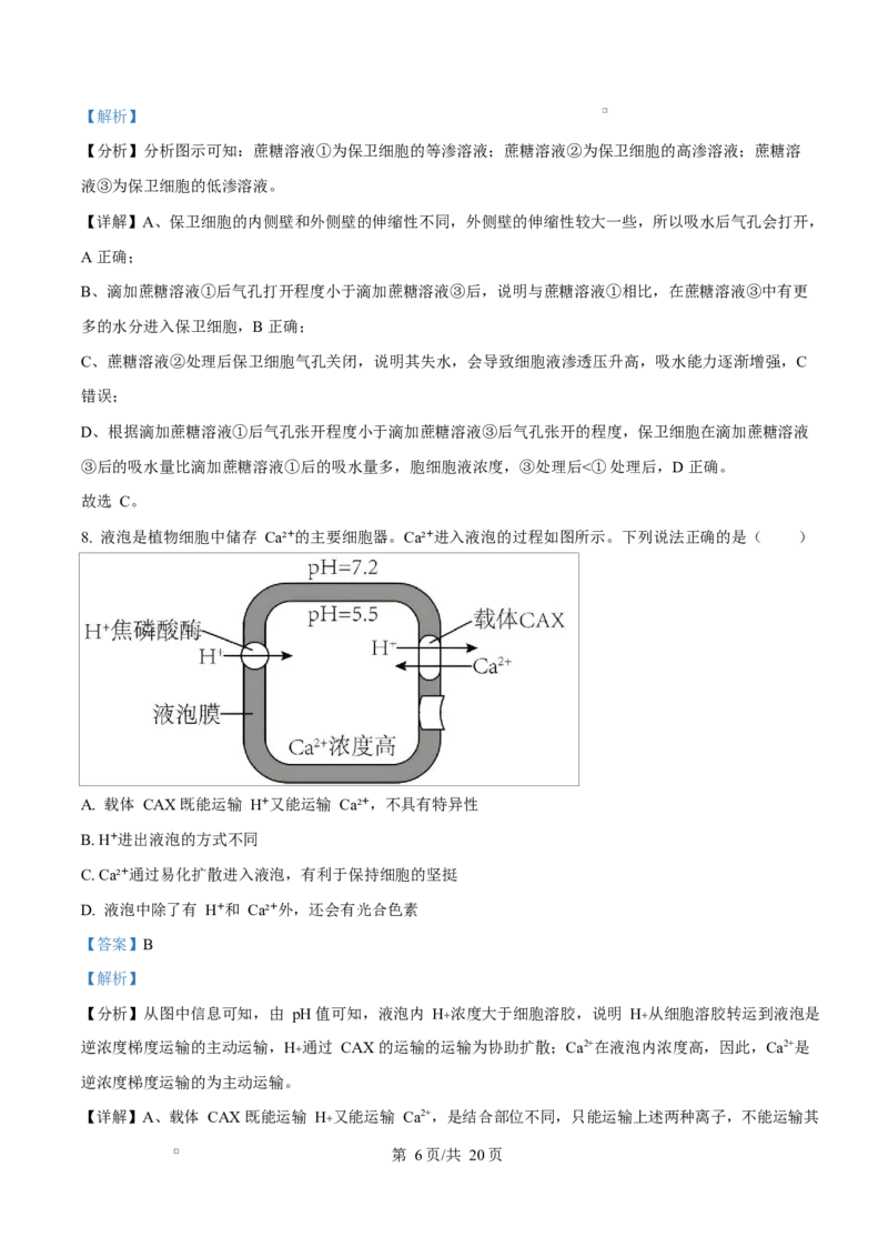 湖南省郴州市2024&mdash;2025学年高一上学期期末考试生物试题Word版含解析_2025年03月试卷_0316湖南省郴州市2024-2025学年高一上学期期末考试