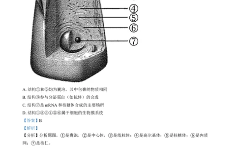 湖南省岳阳市岳阳县第一中学2024-2025学年高一上学期12月月考生物试题Word版含解析_2025年01月试卷_0104湖南省岳阳市岳阳县第一中学2024-2025学年高一上学期12月月考