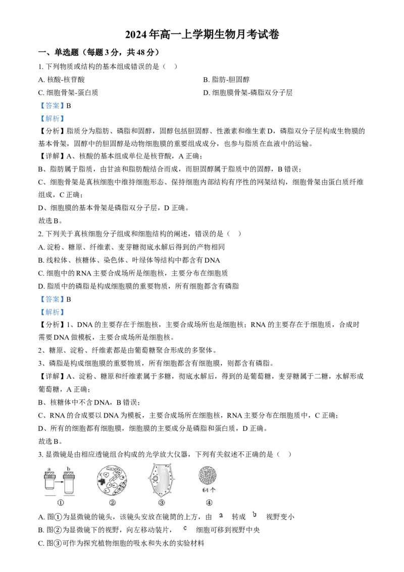 湖南省岳阳市岳阳县第一中学2024-2025学年高一上学期12月月考生物试题Word版含解析_2025年01月试卷_0104湖南省岳阳市岳阳县第一中学2024-2025学年高一上学期12月月考
