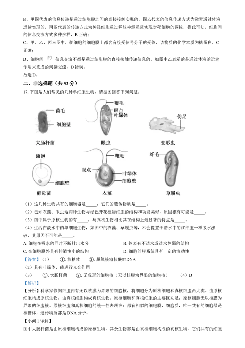 湖南省岳阳市岳阳县第一中学2024-2025学年高一上学期12月月考生物试题Word版含解析_2025年01月试卷_0104湖南省岳阳市岳阳县第一中学2024-2025学年高一上学期12月月考