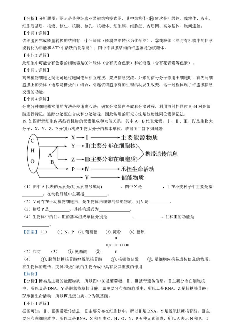 湖南省岳阳市岳阳县第一中学2024-2025学年高一上学期12月月考生物试题Word版含解析_2025年01月试卷_0104湖南省岳阳市岳阳县第一中学2024-2025学年高一上学期12月月考