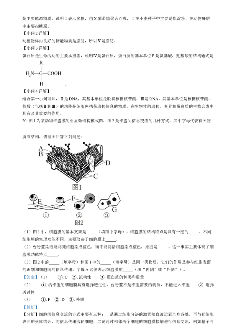 湖南省岳阳市岳阳县第一中学2024-2025学年高一上学期12月月考生物试题Word版含解析_2025年01月试卷_0104湖南省岳阳市岳阳县第一中学2024-2025学年高一上学期12月月考