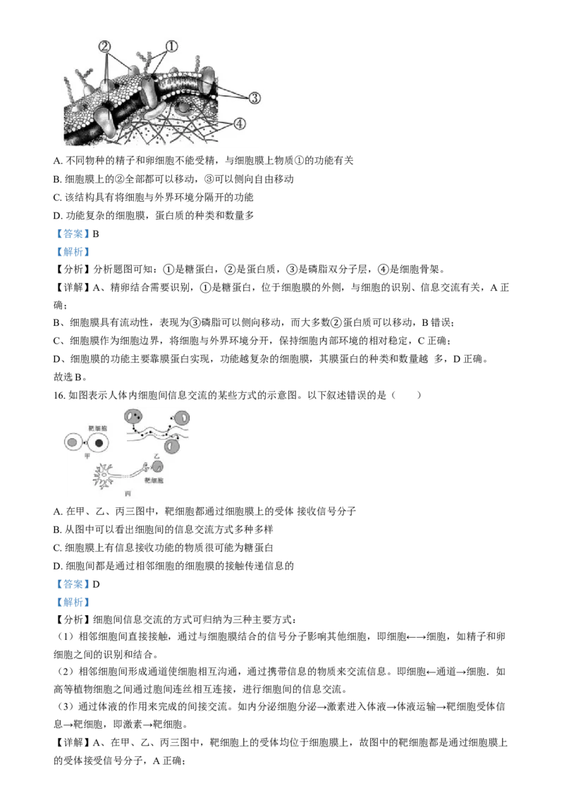 湖南省岳阳市岳阳县第一中学2024-2025学年高一上学期12月月考生物试题Word版含解析_2025年01月试卷_0104湖南省岳阳市岳阳县第一中学2024-2025学年高一上学期12月月考