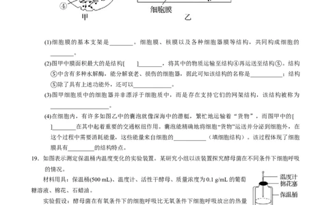 湖南省张家界市2024-2025学年高一上学期期末考试生物试题_2025年01月试卷_0126湖南省张家界市2024-2025学年高一上学期期末考试