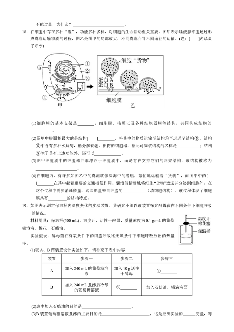湖南省张家界市2024-2025学年高一上学期期末考试生物试题_2025年01月试卷_0126湖南省张家界市2024-2025学年高一上学期期末考试