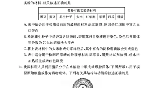 湖南炎德英才名校联考联合体2025年秋季高一第二次(期中)联考生物试卷（高一11月联考）_2025年11月高一试卷_251116湖南炎德英才名校联考联合体2025年秋季高一第二次（期中）联考