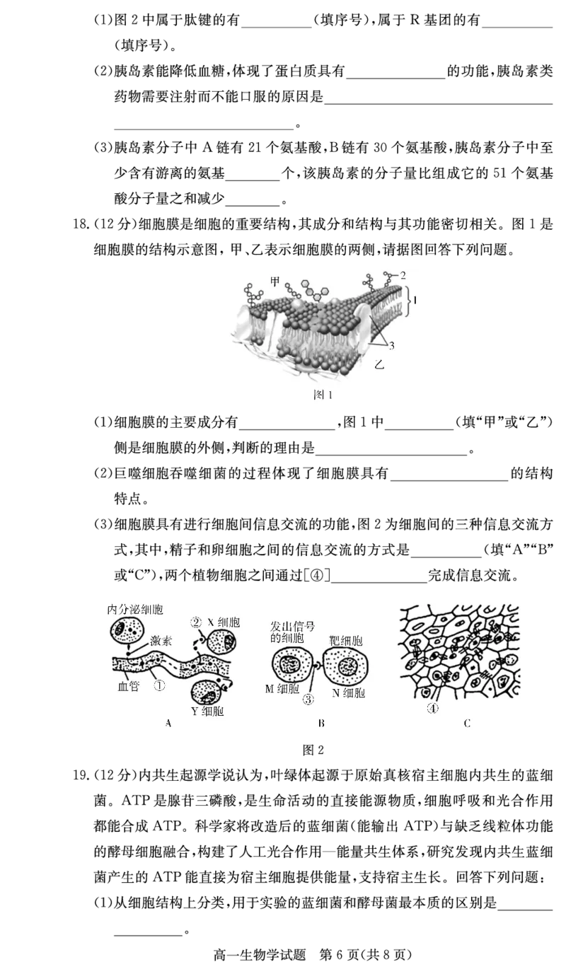 湖南炎德英才名校联考联合体2025年秋季高一第二次(期中)联考生物试卷（高一11月联考）_2025年11月高一试卷_251116湖南炎德英才名校联考联合体2025年秋季高一第二次（期中）联考