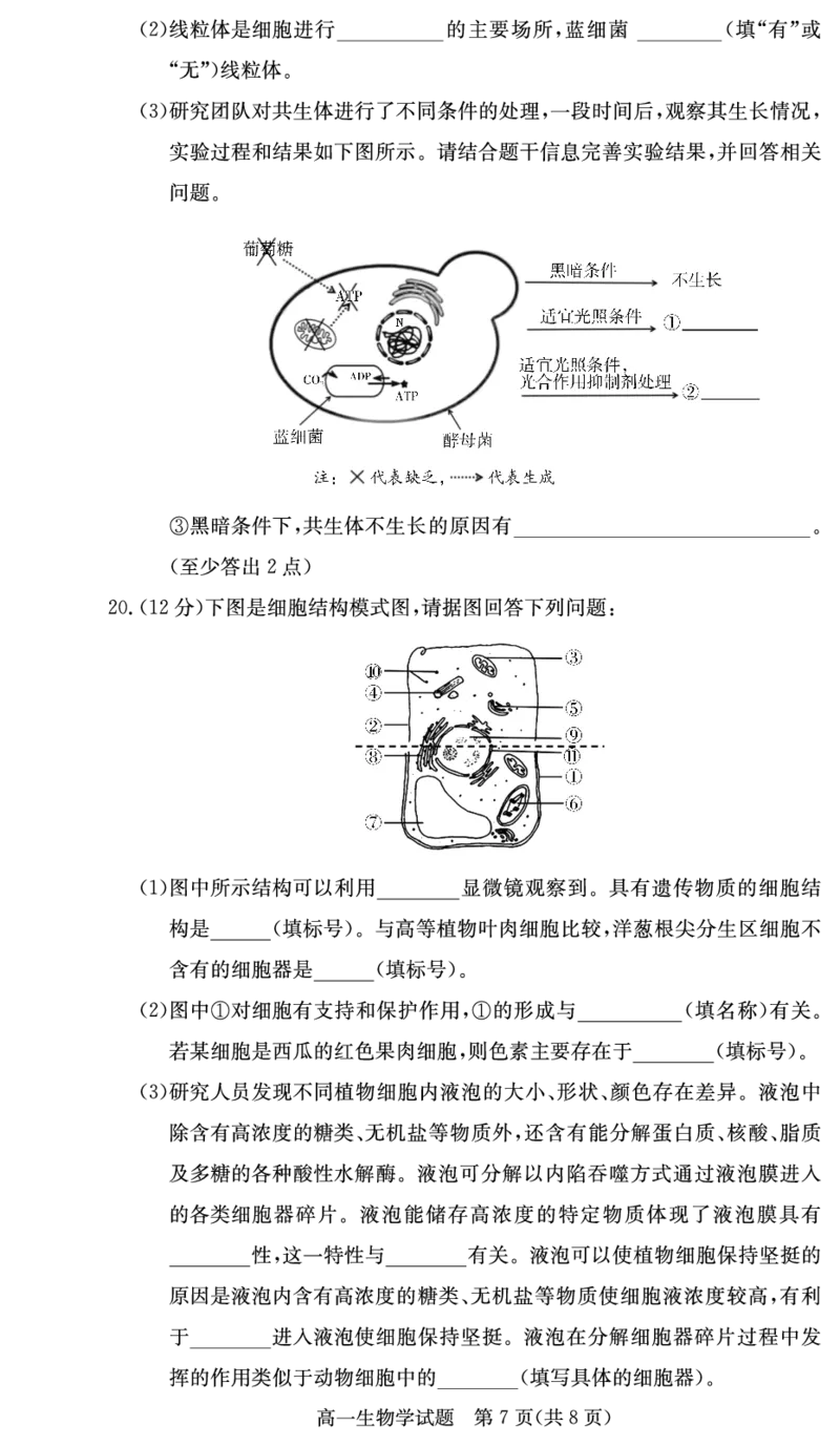 湖南炎德英才名校联考联合体2025年秋季高一第二次(期中)联考生物试卷（高一11月联考）_2025年11月高一试卷_251116湖南炎德英才名校联考联合体2025年秋季高一第二次（期中）联考
