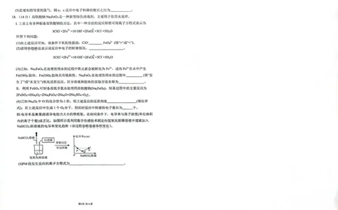 湖南省雅礼中学2025年下学期高一化学第一次质量检测试卷_2025年10月高一试卷_251015湖南省长沙市雅礼中学2025-2026学年高一上学期第一次（10月）质量检测（全）