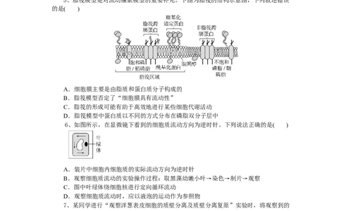湖北省随州市部分高中联考协作体2024-2025学年高一上学期12月月考生物试题_2024年12月试卷_1229湖北省随州市部分高中联考协作体2024-2025学年高一上学期12月联考