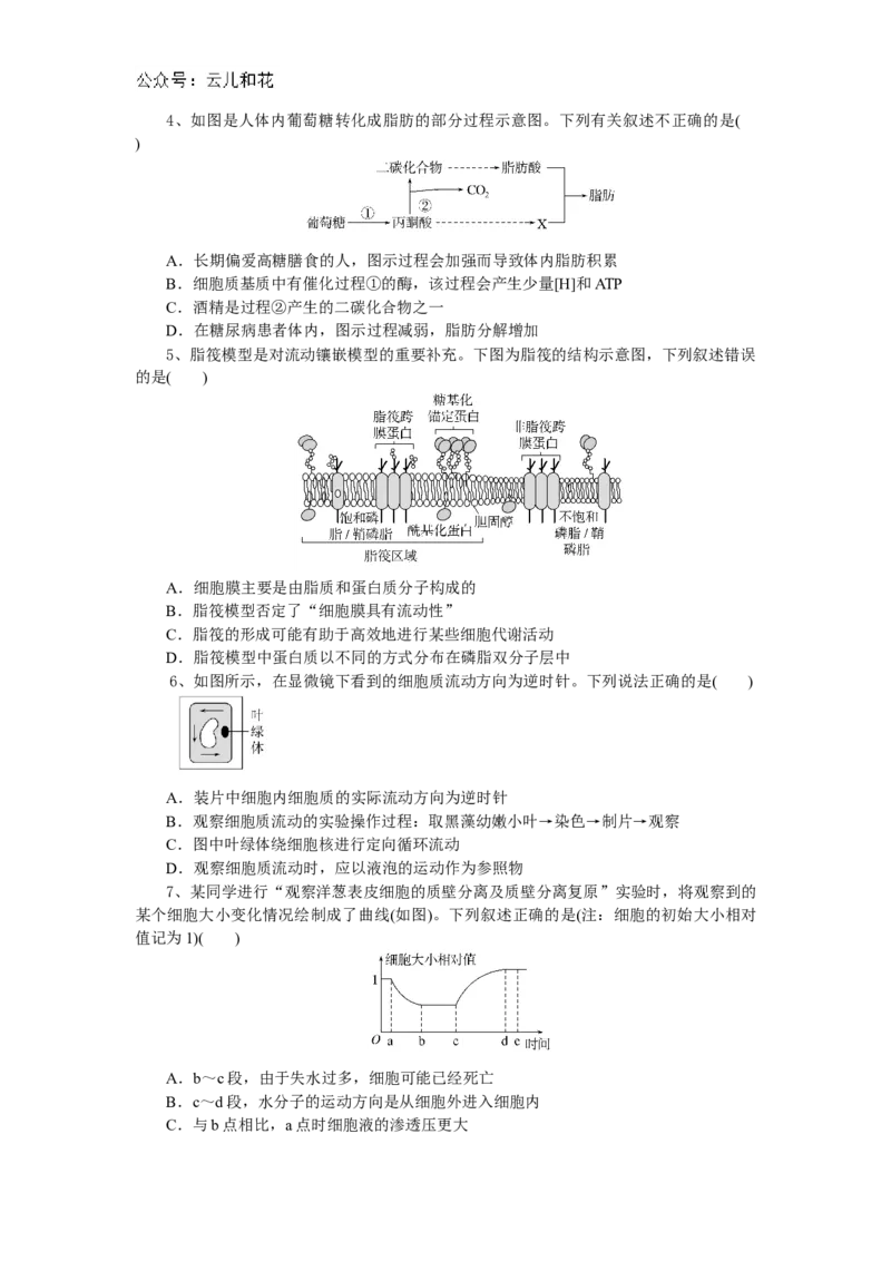 湖北省随州市部分高中联考协作体2024-2025学年高一上学期12月月考生物试题_2024年12月试卷_1229湖北省随州市部分高中联考协作体2024-2025学年高一上学期12月联考