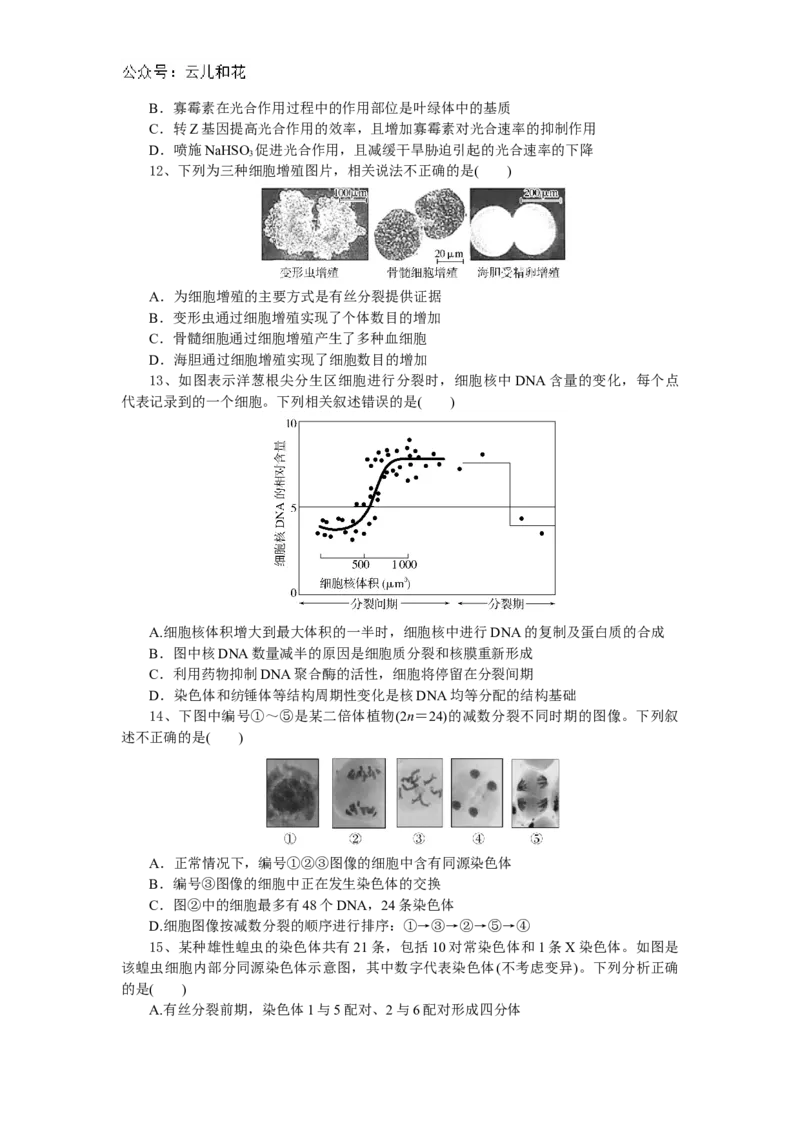 湖北省随州市部分高中联考协作体2024-2025学年高一上学期12月月考生物试题_2024年12月试卷_1229湖北省随州市部分高中联考协作体2024-2025学年高一上学期12月联考