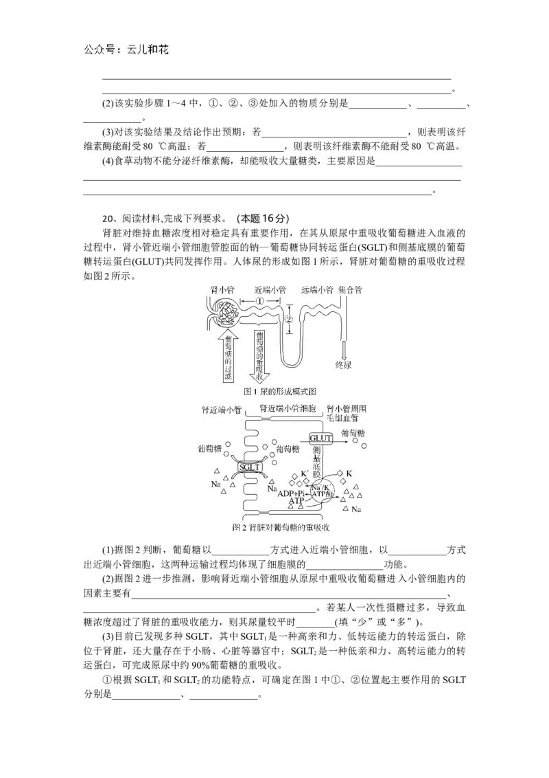 湖北省随州市部分高中联考协作体2024-2025学年高一上学期12月月考生物试题_2024年12月试卷_1229湖北省随州市部分高中联考协作体2024-2025学年高一上学期12月联考