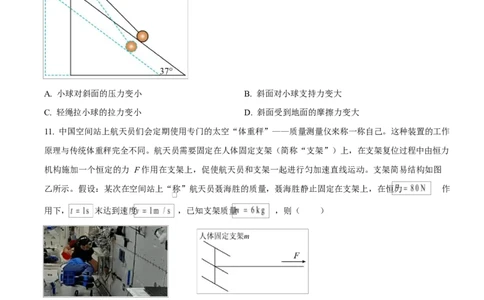 湖南省郴州市2024-2025学年高一上学期期末教学质量监测物理试卷（原卷版）_2025年03月试卷_0316湖南省郴州市2024-2025学年高一上学期期末考试
