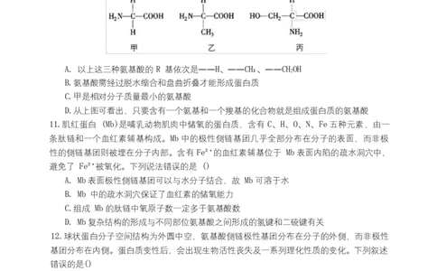 湖南省长沙市麓山国际实验学校2025-2026学年高一上学期10月月考生物试题_2025年10月高一试卷_251029湖南省长沙麓山国际实验学校2025-2026学年高一上学期10月月考（全）