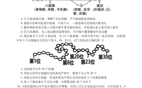 湖南省长沙市麓山国际实验学校2025-2026学年高一上学期10月月考生物试题_2025年10月高一试卷_251029湖南省长沙麓山国际实验学校2025-2026学年高一上学期10月月考（全）