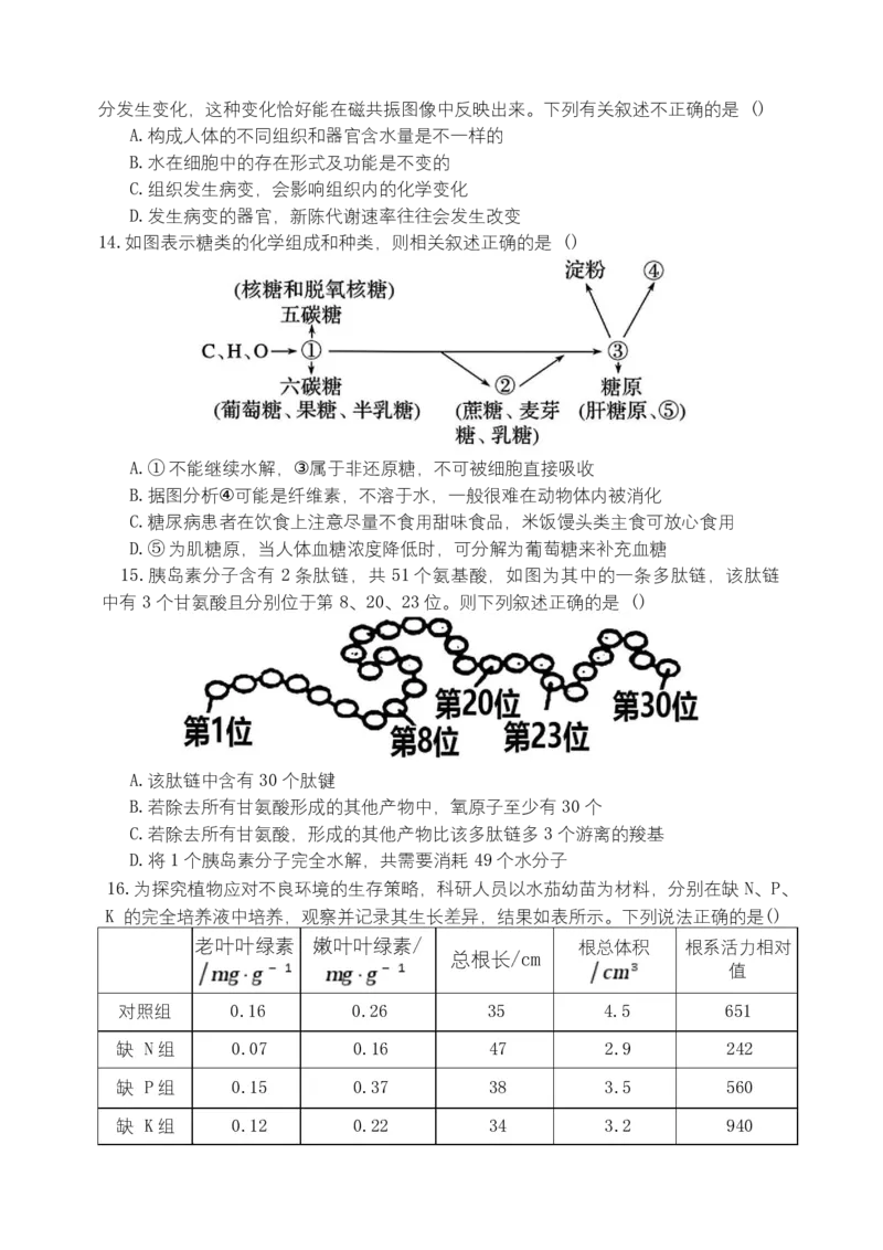 湖南省长沙市麓山国际实验学校2025-2026学年高一上学期10月月考生物试题_2025年10月高一试卷_251029湖南省长沙麓山国际实验学校2025-2026学年高一上学期10月月考（全）