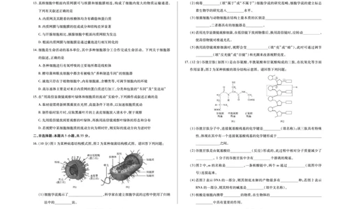 生物学天一大联考&middot;海南省2025-2026学年高一年级学业水平诊断（一）_2025年11月高一试卷_251117天一大联考&middot;海南省2025-2026学年高一年级学业水平诊断（一）（全）