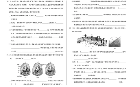 生物学天一大联考&middot;海南省2025-2026学年高一年级学业水平诊断（一）_2025年11月高一试卷_251117天一大联考&middot;海南省2025-2026学年高一年级学业水平诊断（一）（全）