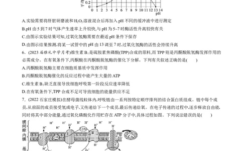 第11讲细胞代谢综合分析（练习）（原卷版）_新高考复习资料_2024年新高考复习资料_一轮复习资料_完2024年高考生物一轮复习讲练测(课件+讲义+练习)（新高考）_讲义+练习