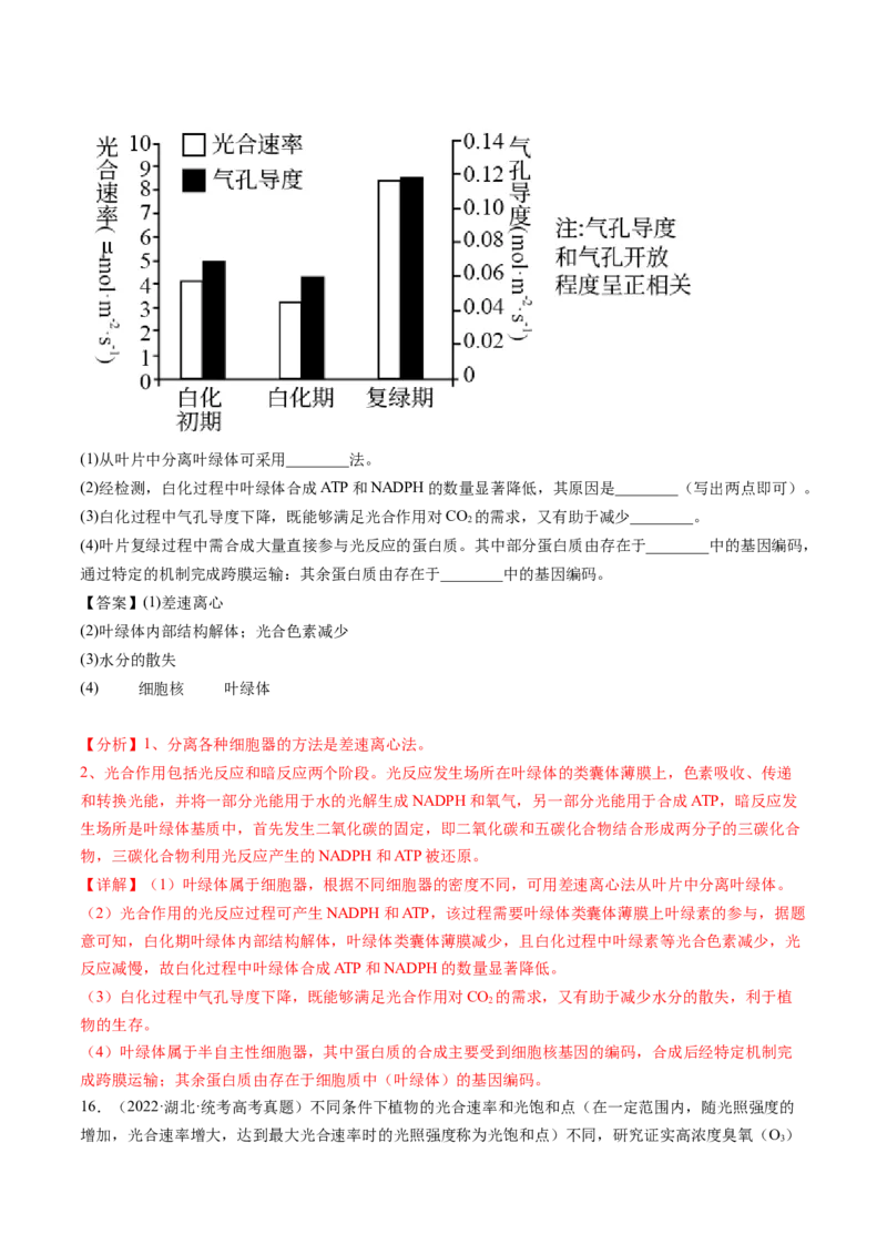 第10.2讲光合作用的影响因素和应用（练习）（解析版）_新高考复习资料_2024年新高考复习资料_一轮复习资料_完2024年高考生物一轮复习讲练测(课件+讲义+练习)（新高考）_讲义+练习