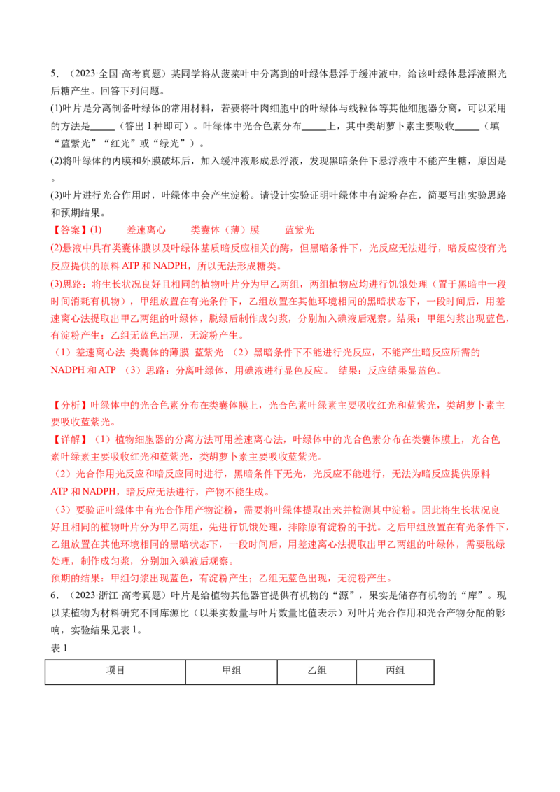 第10讲光合作用（第一课时）（练习）（解析版）_2025年新高考资料_一轮复习_2025年高考生物一轮复习讲练测（新教材新高考）