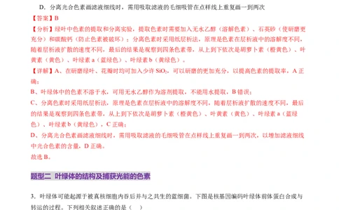 第10讲光合作用（第一课时）（练习）（解析版）_2025年新高考资料_一轮复习_2025年高考生物一轮复习讲练测（新教材新高考）