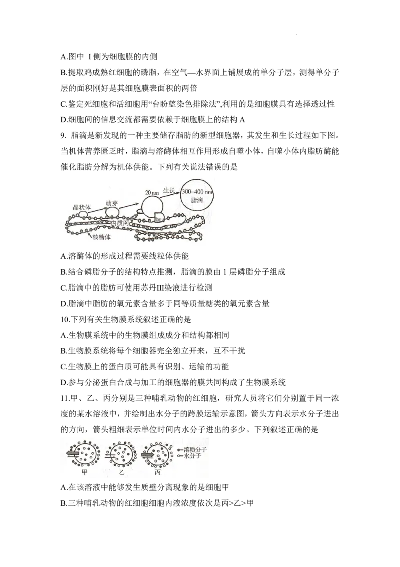生物试题_2025年12月高一试卷_251219新高考教学教研联盟（长郡20校）高一12月学情检测（全）_湖南省新高考教学教研联盟2025-2026学年高一上学期12月月考生物试题（PDF版，含解析）