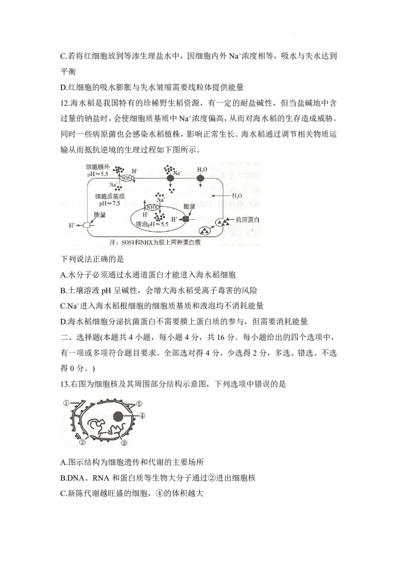 生物试题_2025年12月高一试卷_251219新高考教学教研联盟（长郡20校）高一12月学情检测（全）_湖南省新高考教学教研联盟2025-2026学年高一上学期12月月考生物试题（PDF版，含解析）