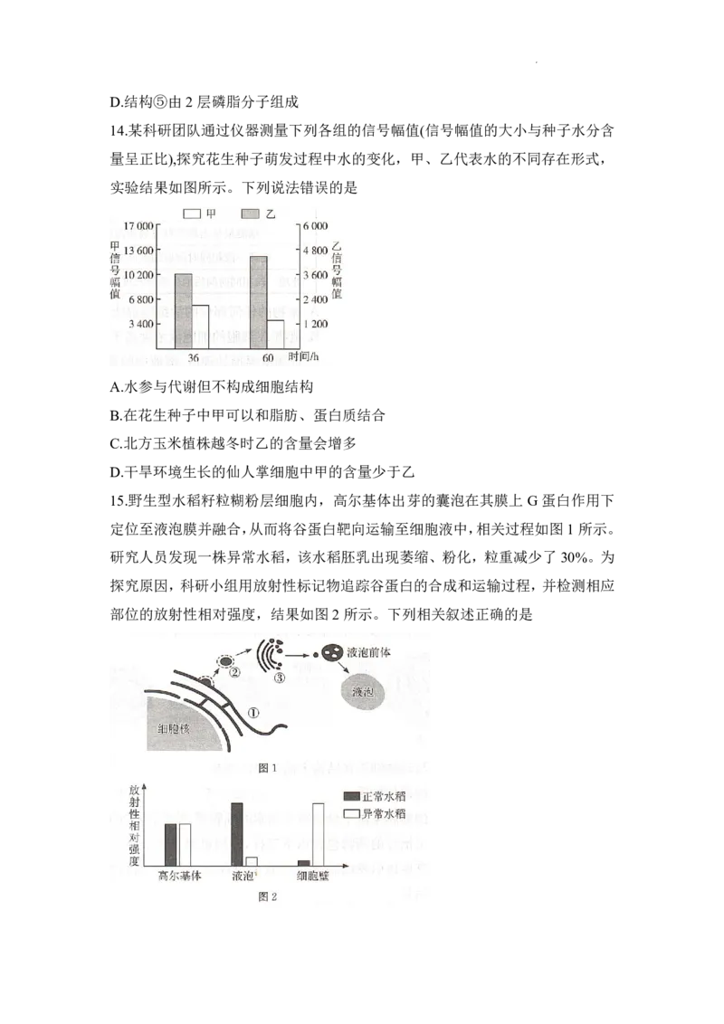 生物试题_2025年12月高一试卷_251219新高考教学教研联盟（长郡20校）高一12月学情检测（全）_湖南省新高考教学教研联盟2025-2026学年高一上学期12月月考生物试题（PDF版，含解析）
