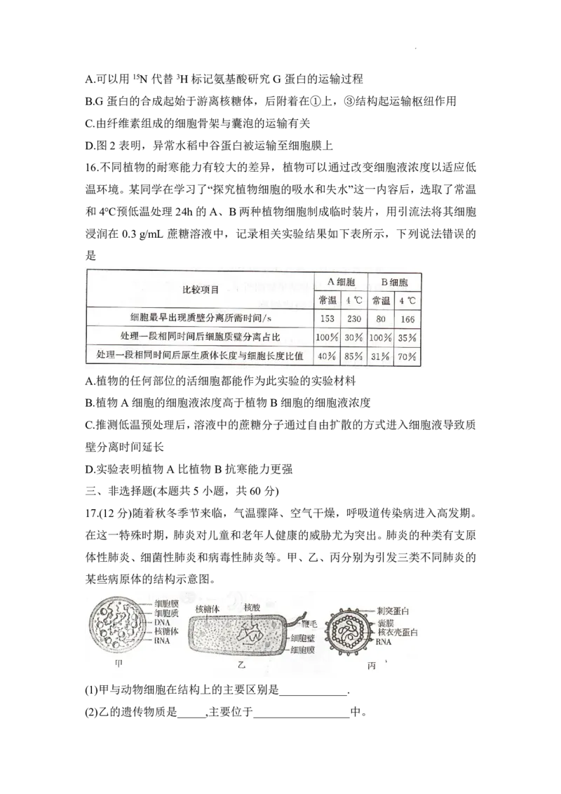 生物试题_2025年12月高一试卷_251219新高考教学教研联盟（长郡20校）高一12月学情检测（全）_湖南省新高考教学教研联盟2025-2026学年高一上学期12月月考生物试题（PDF版，含解析）