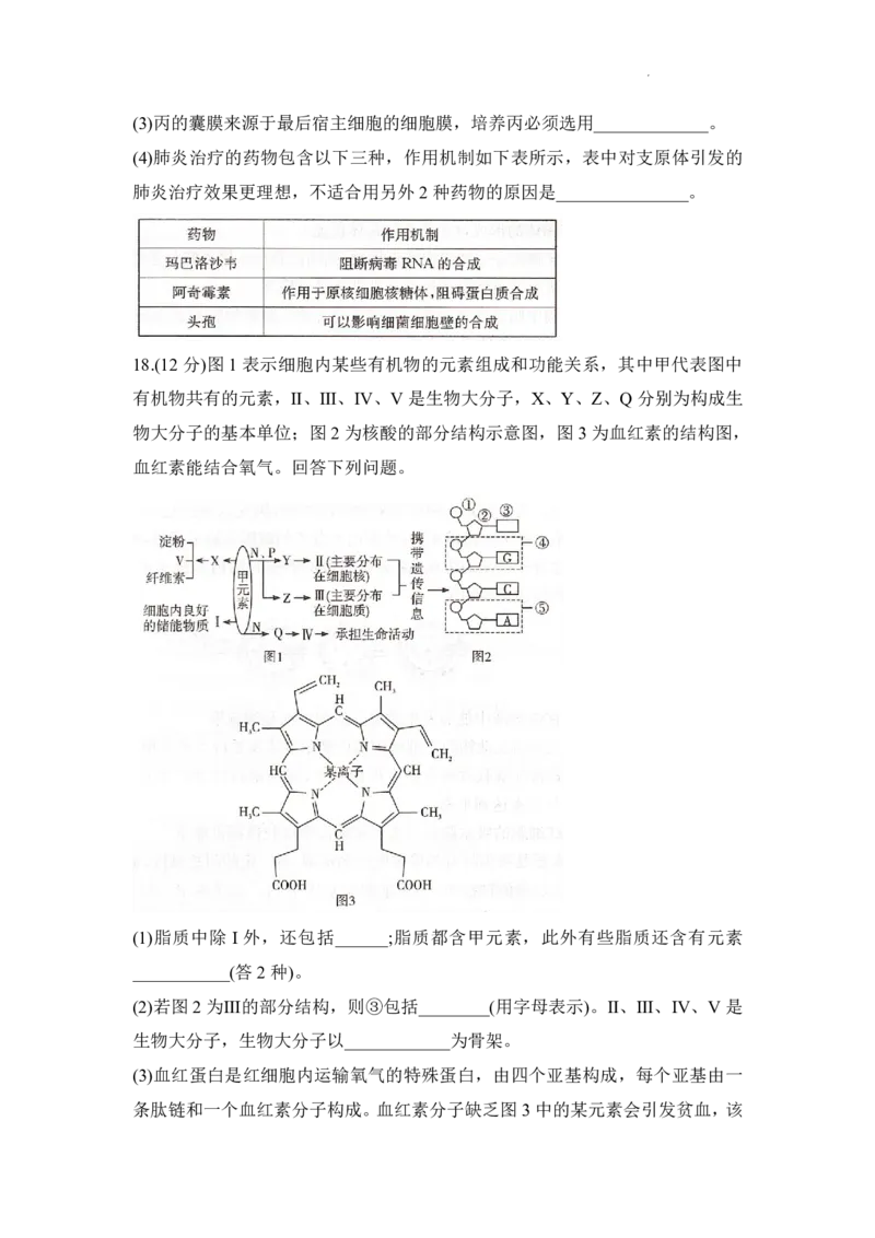 生物试题_2025年12月高一试卷_251219新高考教学教研联盟（长郡20校）高一12月学情检测（全）_湖南省新高考教学教研联盟2025-2026学年高一上学期12月月考生物试题（PDF版，含解析）