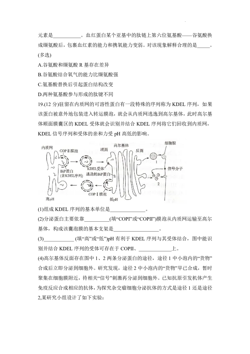 生物试题_2025年12月高一试卷_251219新高考教学教研联盟（长郡20校）高一12月学情检测（全）_湖南省新高考教学教研联盟2025-2026学年高一上学期12月月考生物试题（PDF版，含解析）