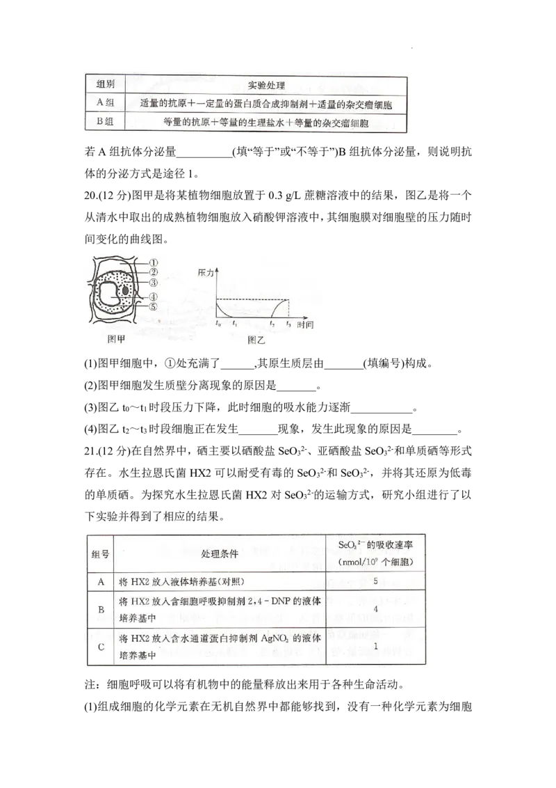 生物试题_2025年12月高一试卷_251219新高考教学教研联盟（长郡20校）高一12月学情检测（全）_湖南省新高考教学教研联盟2025-2026学年高一上学期12月月考生物试题（PDF版，含解析）