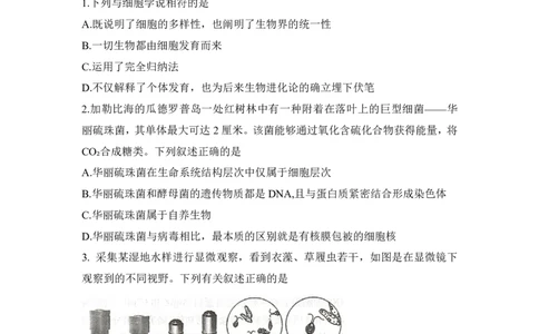 生物试题_2025年12月高一试卷_251219新高考教学教研联盟（长郡20校）高一12月学情检测（全）_湖南省新高考教学教研联盟2025-2026学年高一上学期12月月考生物试题（PDF版，含解析）
