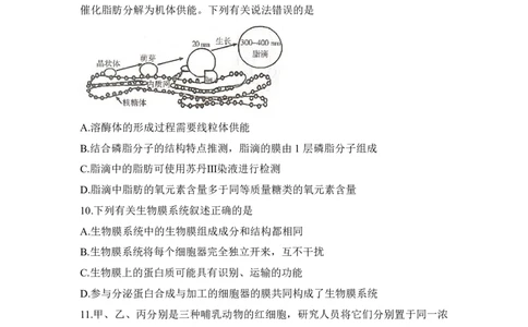 生物试题_2025年12月高一试卷_251219新高考教学教研联盟（长郡20校）高一12月学情检测（全）_湖南省新高考教学教研联盟2025-2026学年高一上学期12月月考生物试题（PDF版，含解析）