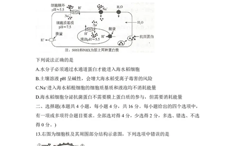 生物试题_2025年12月高一试卷_251219新高考教学教研联盟（长郡20校）高一12月学情检测（全）_湖南省新高考教学教研联盟2025-2026学年高一上学期12月月考生物试题（PDF版，含解析）