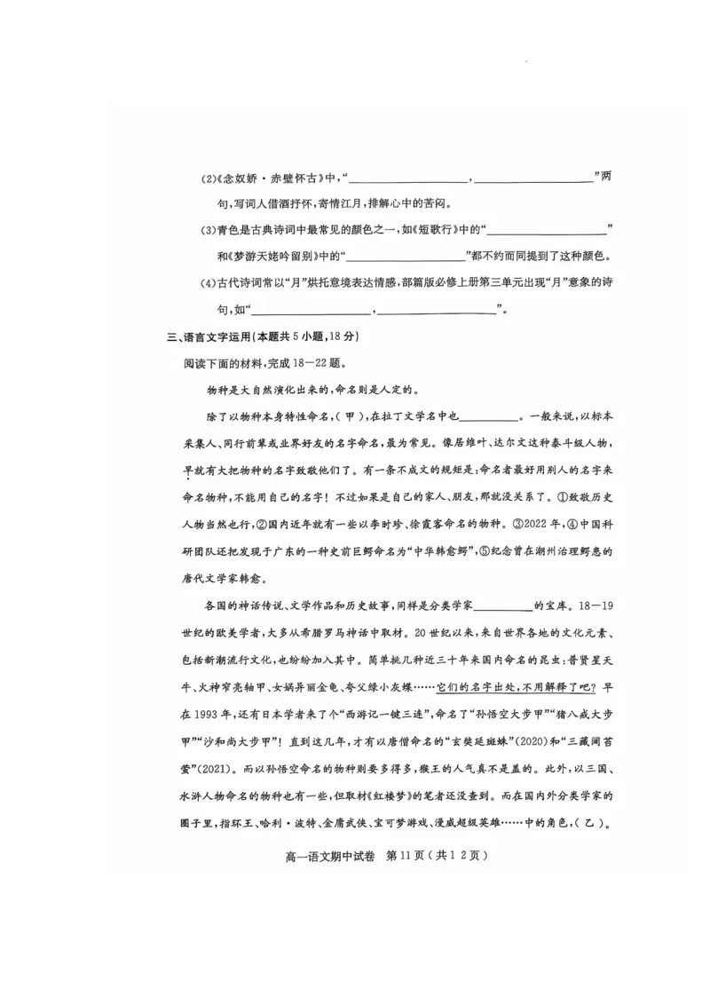 电白区2024-2025学年第一学期高一语文期中考试_2024年12月试卷_1216广东省茂名市电白区2024-2025学年高一上学期期中考试
