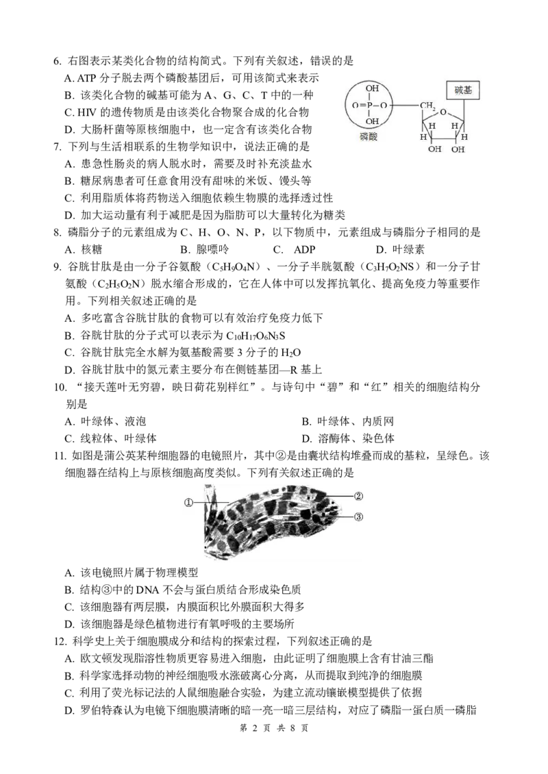 生物_2024年12月试卷_1210四川省绵阳市南山中学2024-2025学年高一上学期12月月考_四川省绵阳市南山中学2024-2025学年高一上学期12月月考生物试题PDF版含答案