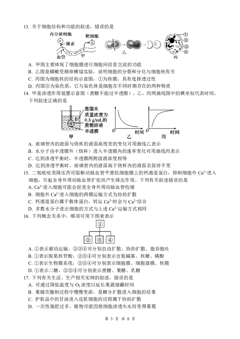 生物_2024年12月试卷_1210四川省绵阳市南山中学2024-2025学年高一上学期12月月考_四川省绵阳市南山中学2024-2025学年高一上学期12月月考生物试题PDF版含答案