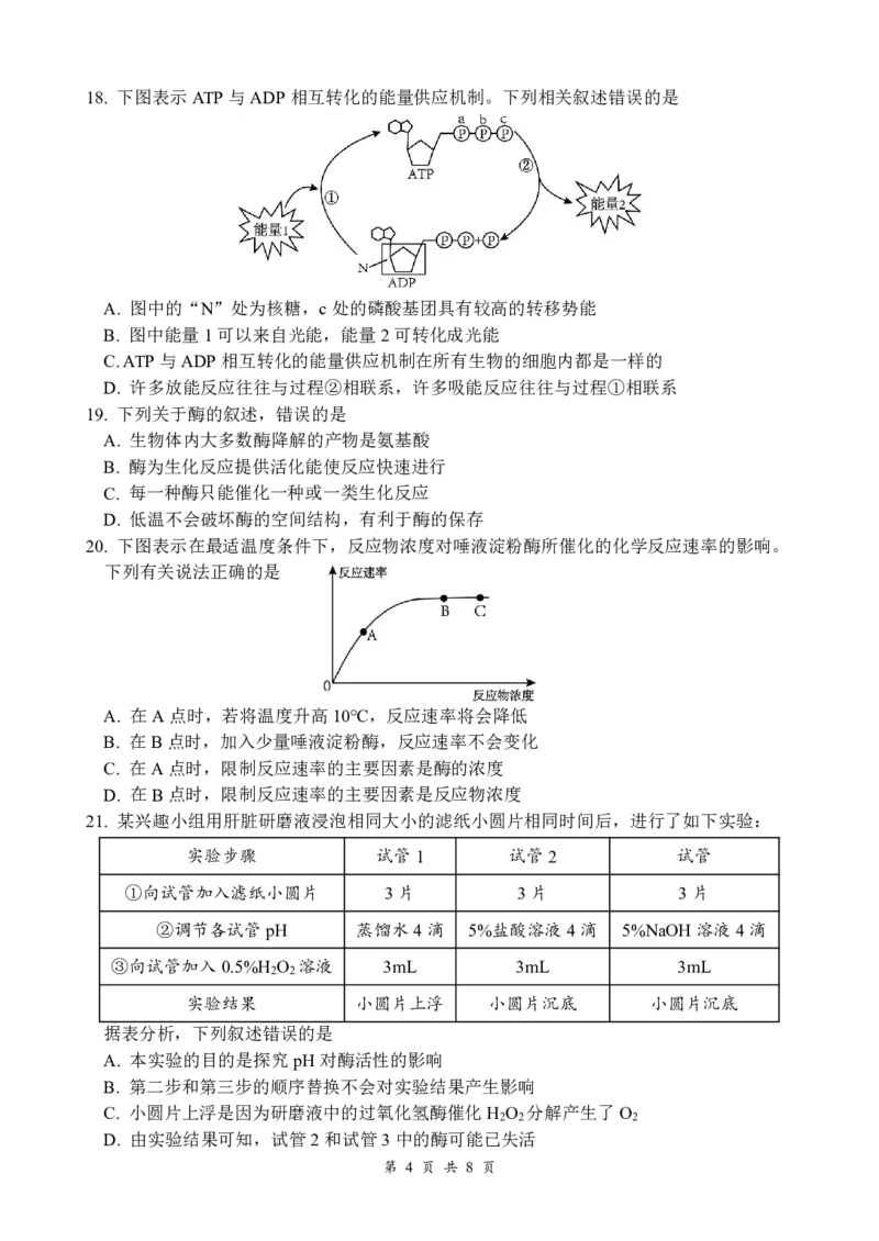 生物_2024年12月试卷_1210四川省绵阳市南山中学2024-2025学年高一上学期12月月考_四川省绵阳市南山中学2024-2025学年高一上学期12月月考生物试题PDF版含答案